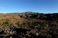 Hualapai Mountain AZ.