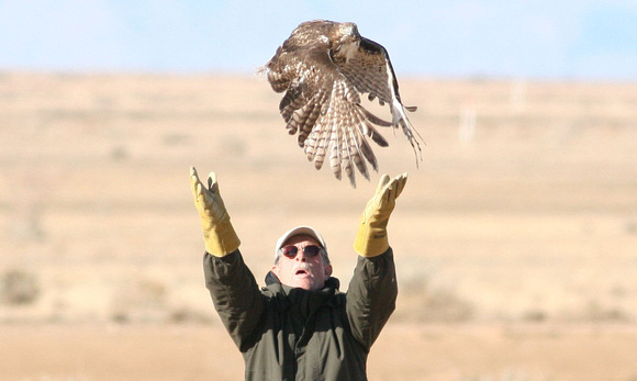 Red Tail Release