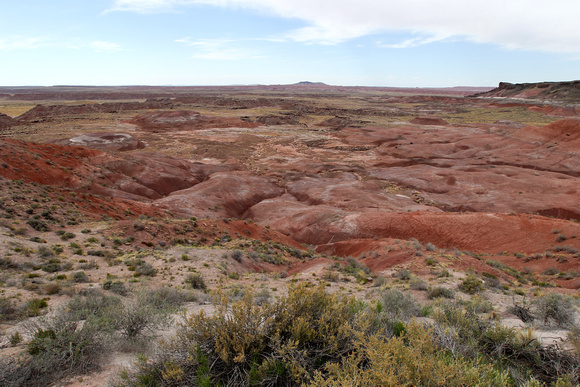 Painted Desert/Petrified Forest Navaho/Hopi Nation