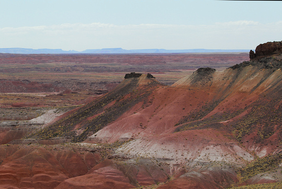 Painted Desert/Petrified Forest Navaho/Hopi Nation