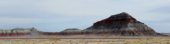 Painted Desert/Petrified Forest