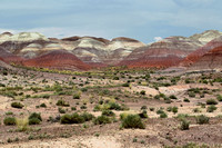 Painted Desert + Petrified Forest