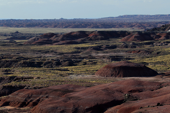 Painted Desert/Petrified Forest