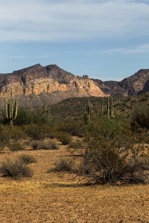 Usery Mountains, AZ.