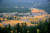 Rocky Mountains Fall CO.