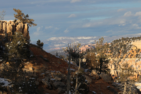 Bryce Canyon + Hoodoos