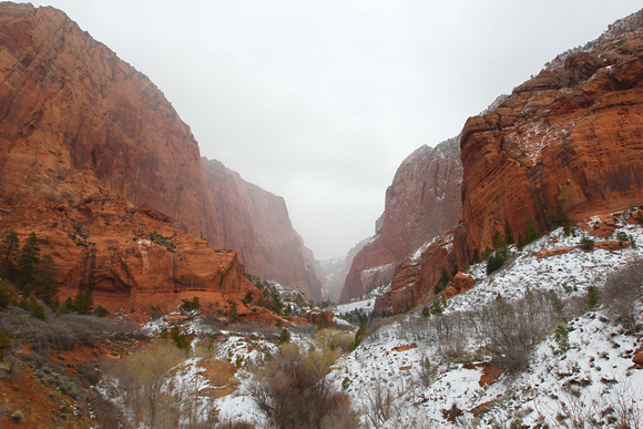 " Zion Winter " Utah.