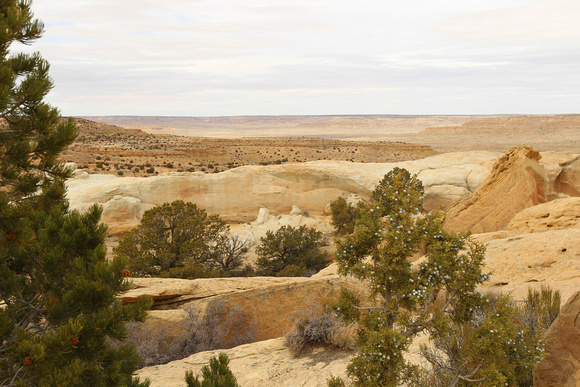 Painted Desert, Navaho Reservation